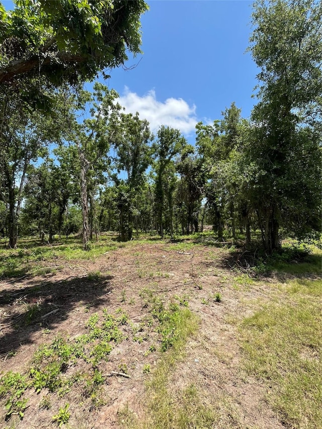 0 Oyster Creek Dr, Bailey's Prairie, TX 77515