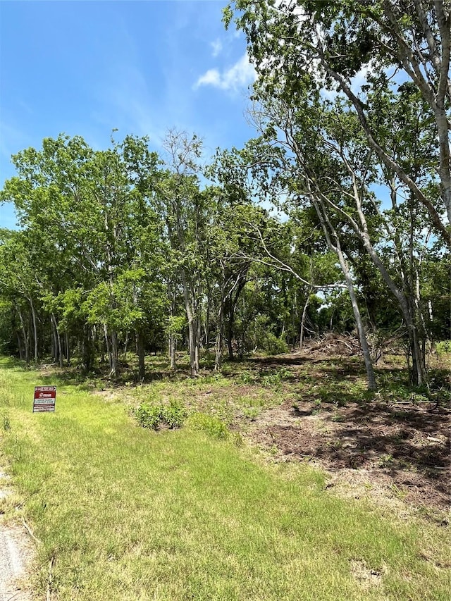 0 Oyster Creek Dr, Bailey's Prairie, TX 77515
