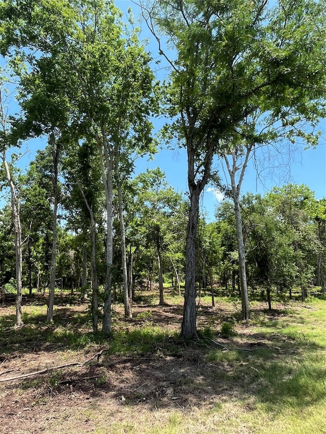 0 Oyster Creek Dr, Bailey's Prairie, TX 77515