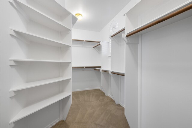 6910 Amber Ct, Houston, TX 77069 - walk in closet featuring carpet floors