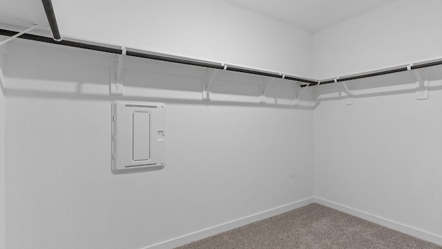 305 Robin St, Angleton, TX 77515 - spacious closet featuring carpet floors