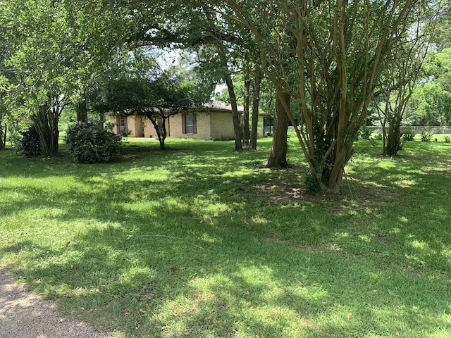 26405 Easy St, Magnolia, TX 77355 - view of green lawn