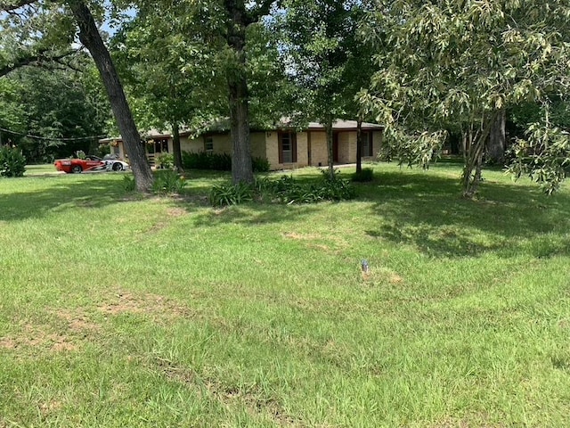 26405 Easy St, Magnolia, TX 77355 - view of green lawn