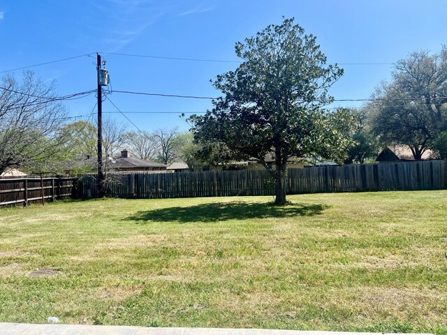 1301 Cherie Brook Dr, Goliad, TX 77963 - view of yard