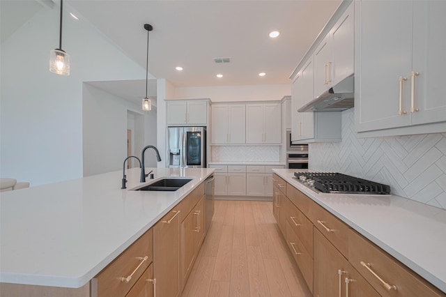 2610 Texas Orange Trl, Richmond, TX 77406 - kitchen featuring appliances with stainless steel finishes, a sink, under cabinet range hood, light countertops, and light wood finished floors