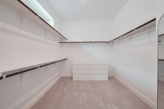 2610 Texas Orange Trl, Richmond, TX 77406 - spacious closet with light colored carpet