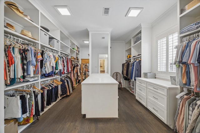 spacious closet featuring dark wood finished floors
