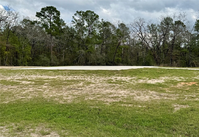 534 Oakdale Dr, Huntsville, TX 77320 - view of yard with a view of trees
