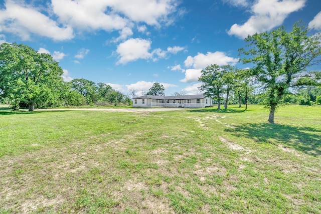 3508 Dick Barnes Loop, Bedias, TX 77831 - view of green lawn