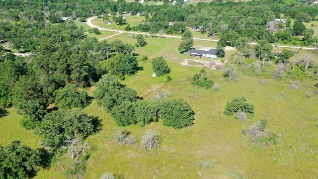 3508 Dick Barnes Loop, Bedias, TX 77831 - view of property location
