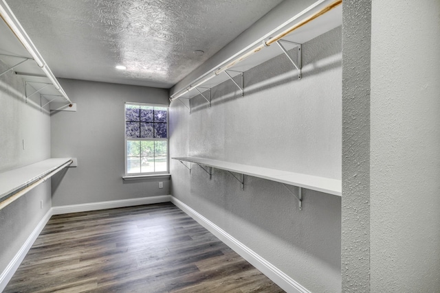 3508 Dick Barnes Loop, Bedias, TX 77831 - walk in closet with wood finished floors