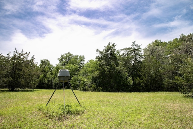 5427 Mustang Rd, Brenham, TX 77833