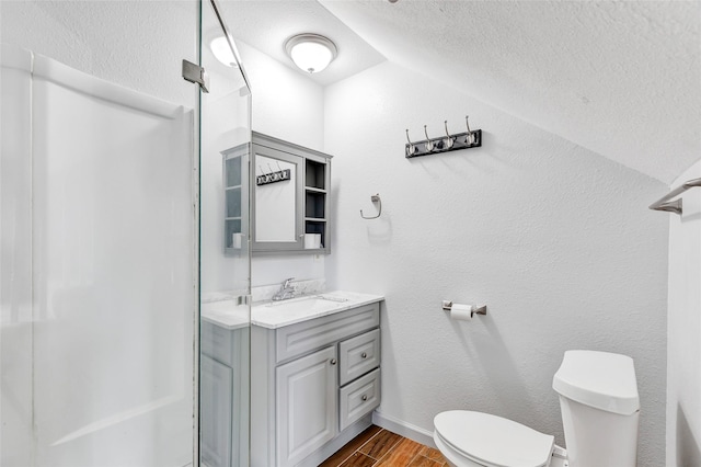 18586 Summer Hills Blvd, Porter, TX 77365 - bathroom featuring wood finished floors, toilet, vanity, a textured ceiling, and lofted ceiling