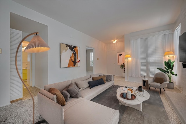 1881 Bering Dr Unit 27, Houston, TX 77057 - living room featuring carpet floors