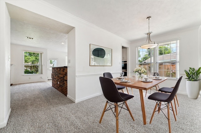 815 Spring Valley Ct, Sugar Land, TX 77479 - dining room with carpet flooring, baseboards, a textured ceiling, and ornamental molding