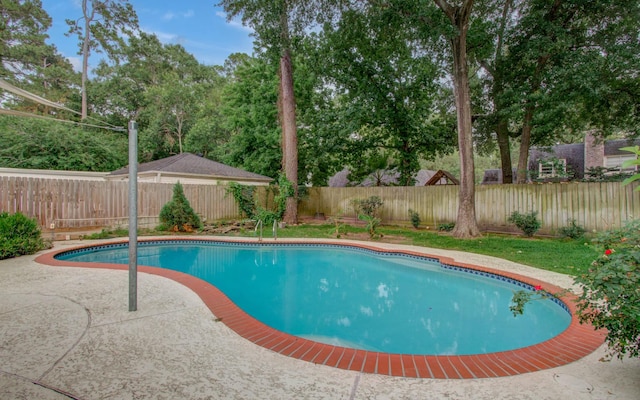 10523 Fawnview Dr, Houston, TX 77070 - view of swimming pool featuring a fenced backyard, view of wooded area, and a patio