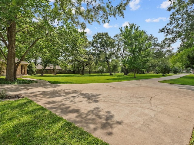 5401 Palm Dr, Dickinson, TX 77539 - surrounding community with a lawn