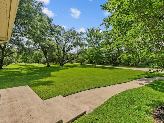 5401 Palm Dr, Dickinson, TX 77539 - view of green lawn with view of wooded area