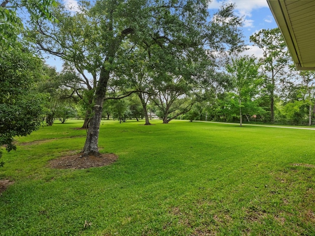 5401 Palm Dr, Dickinson, TX 77539 - view of grassy yard featuring view of scattered trees