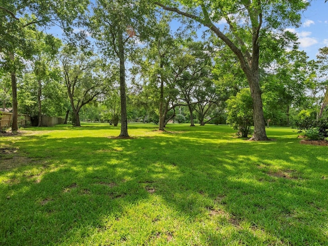 5401 Palm Dr, Dickinson, TX 77539 - view of yard