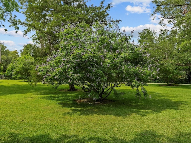 5401 Palm Dr, Dickinson, TX 77539 - view of grassy yard