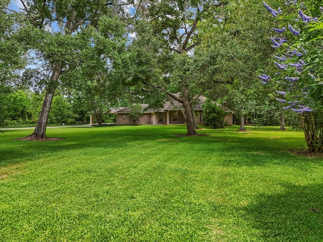 5401 Palm Dr, Dickinson, TX 77539 - view of grassy yard