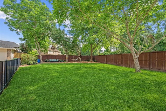 14102 Pollux Ct, Tomball, TX 77375 - view of yard