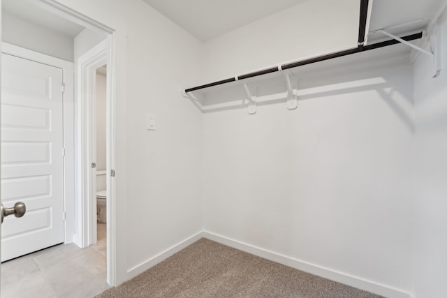 18733 Bliss Pl, New Caney, TX 77357 - spacious closet featuring light carpet