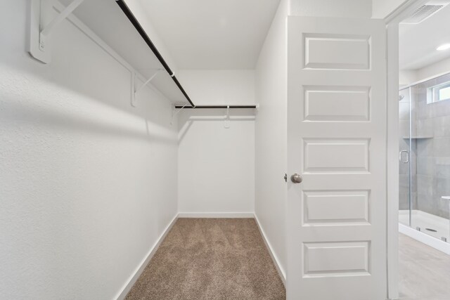 18733 Bliss Pl, New Caney, TX 77357 - spacious closet with light colored carpet