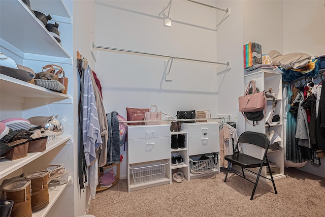 2403 Crescent Hollow Ct, Spring, TX 77388 - spacious closet with light carpet