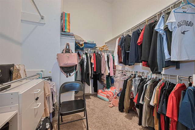 2403 Crescent Hollow Ct, Spring, TX 77388 - walk in closet with carpet floors
