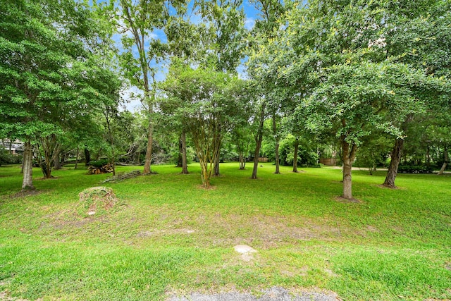 611 Oak Dr, Friendswood, TX 77546