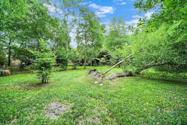 611 Oak Dr, Friendswood, TX 77546