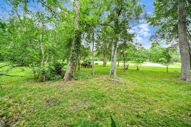 611 Oak Dr, Friendswood, TX 77546