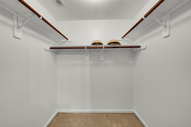 10239 W Palm Lake Dr, Houston, TX 77034 - spacious closet featuring light colored carpet