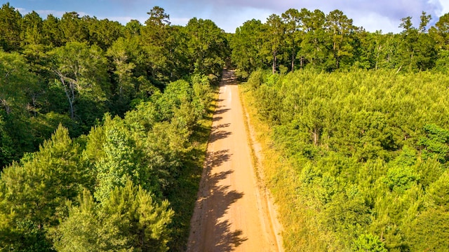 0RAD Fm 943, Livingston, TX 77351 - photo 4