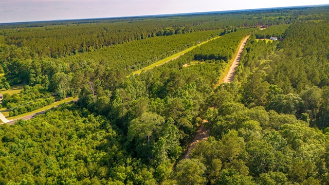 0RAD Fm 943, Livingston, TX 77351 - photo 7