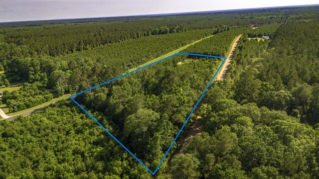 0RAD Fm 943, Livingston, TX 77351 - photo 1