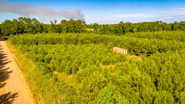0RAD Fm 943, Livingston, TX 77351 - photo 19