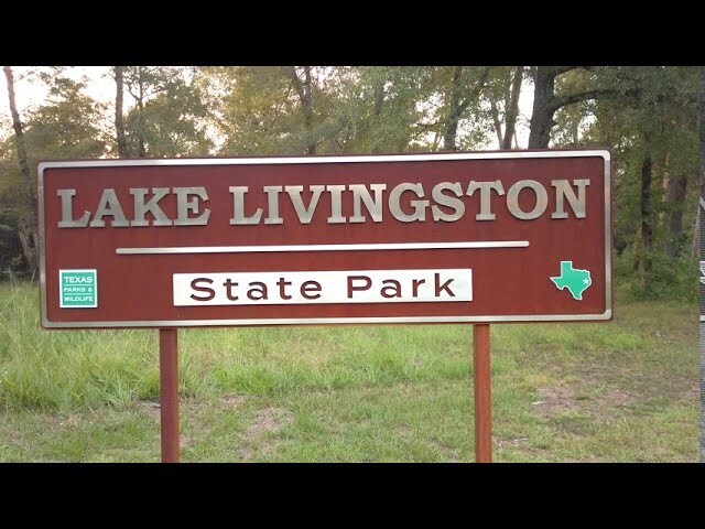 0RAD Fm 943, Livingston, TX 77351 - photo 21