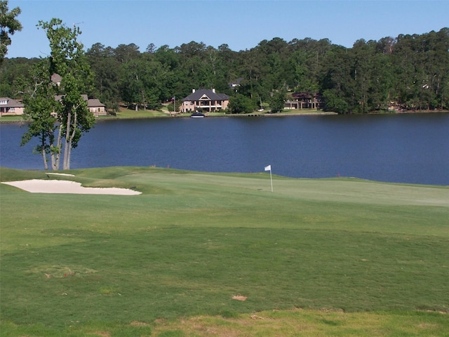 1967 Greentree Dr, Huntsville, TX 77340 - surrounding community featuring golf course view, a water view, a putting area, and a yard