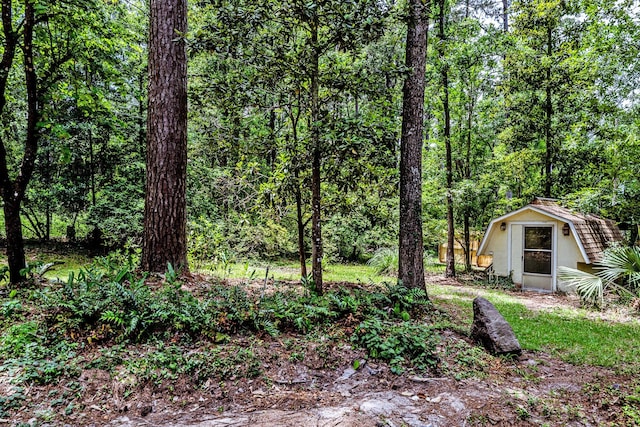 1967 Greentree Dr, Huntsville, TX 77340 - view of yard with a wooded view