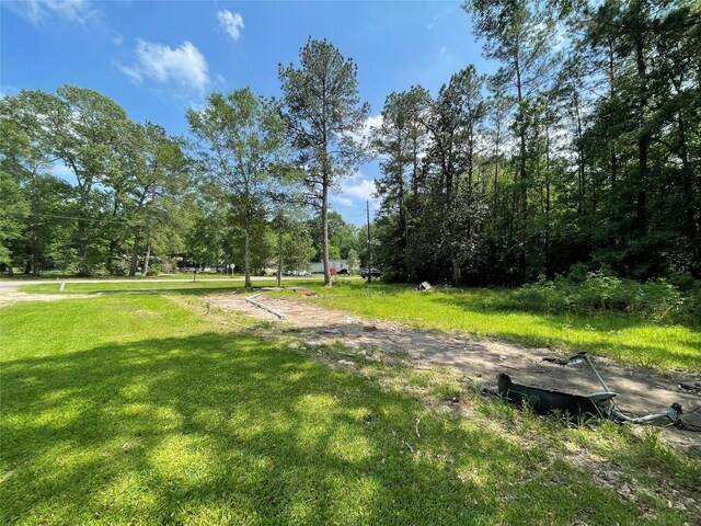 11228 Creek Dr, Cleveland, TX 77328