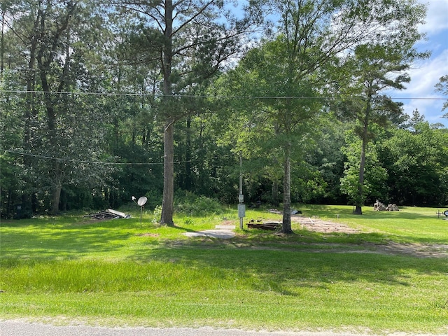 11228 Creek Dr, Cleveland, TX 77328