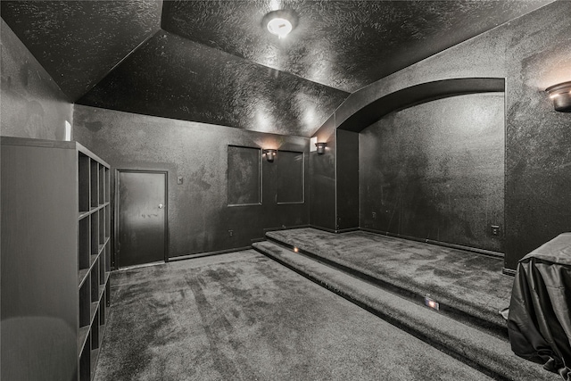 10307 Antelope Aly, Missouri City, TX 77459 - carpeted cinema with vaulted ceiling, a textured wall, and a textured ceiling