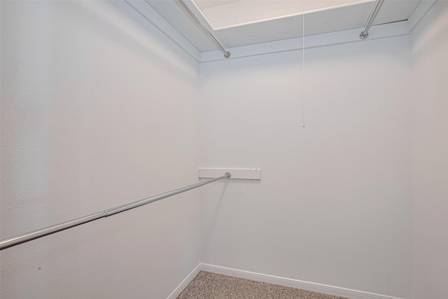 walk in closet featuring carpet and attic access