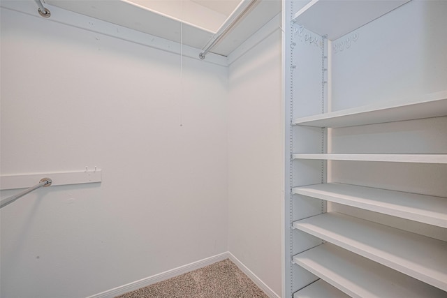 walk in closet with carpet and attic access