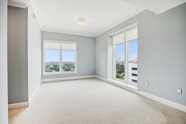 2520 Robinhood St Unit 1205, Houston, TX 77005 - spare room featuring crown molding, carpet floors, and baseboards