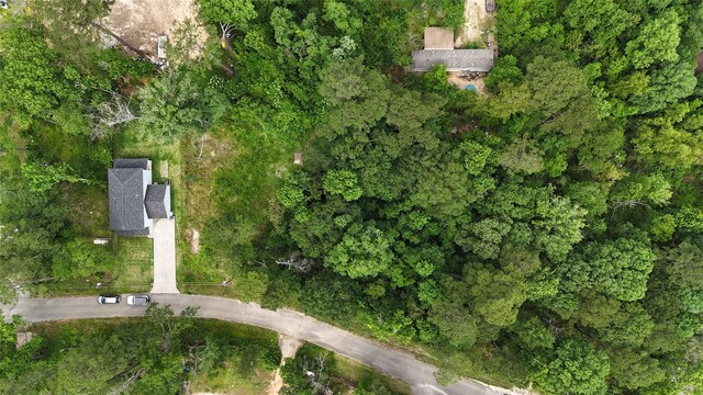 0 Austin Rd, Willis, TX 77378 - photo 3