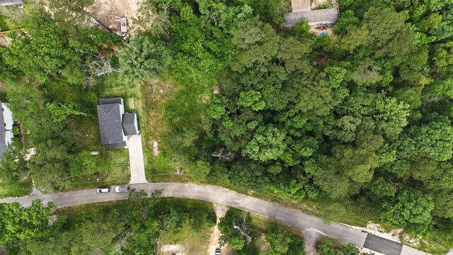 0 Austin Rd, Willis, TX 77378 - photo 7